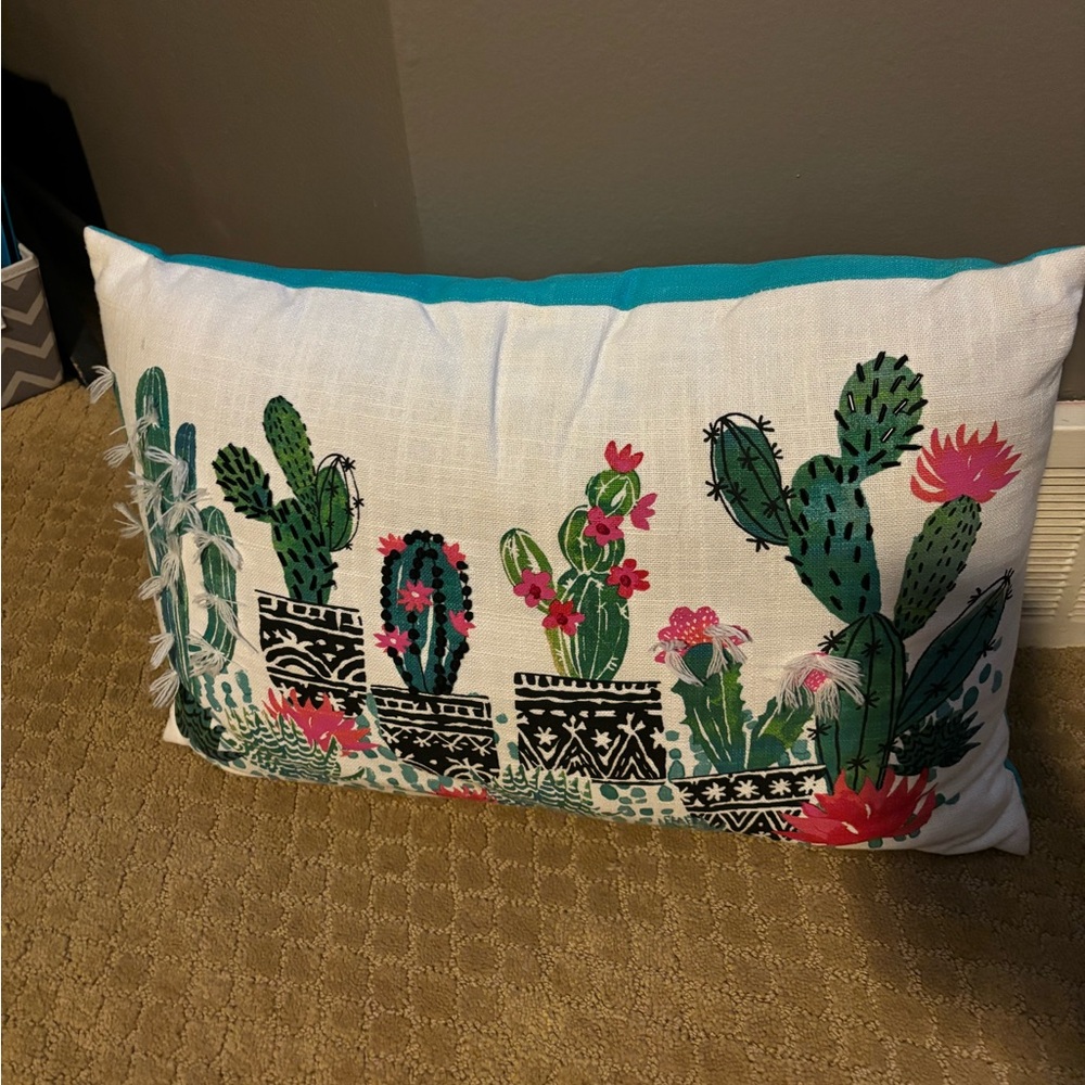 Cactus Decorative Pillow AND Cactus Jar - Picture 3 of 5